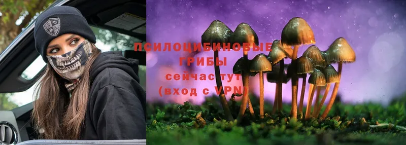 Галлюциногенные грибы Magic Shrooms  где можно купить наркотик  ОМГ ОМГ сайт  Комсомольск 